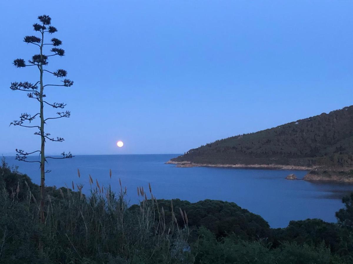 Case Dei Limoni Sul Mare Capoliveri (Isola d'Elba) Exterior foto