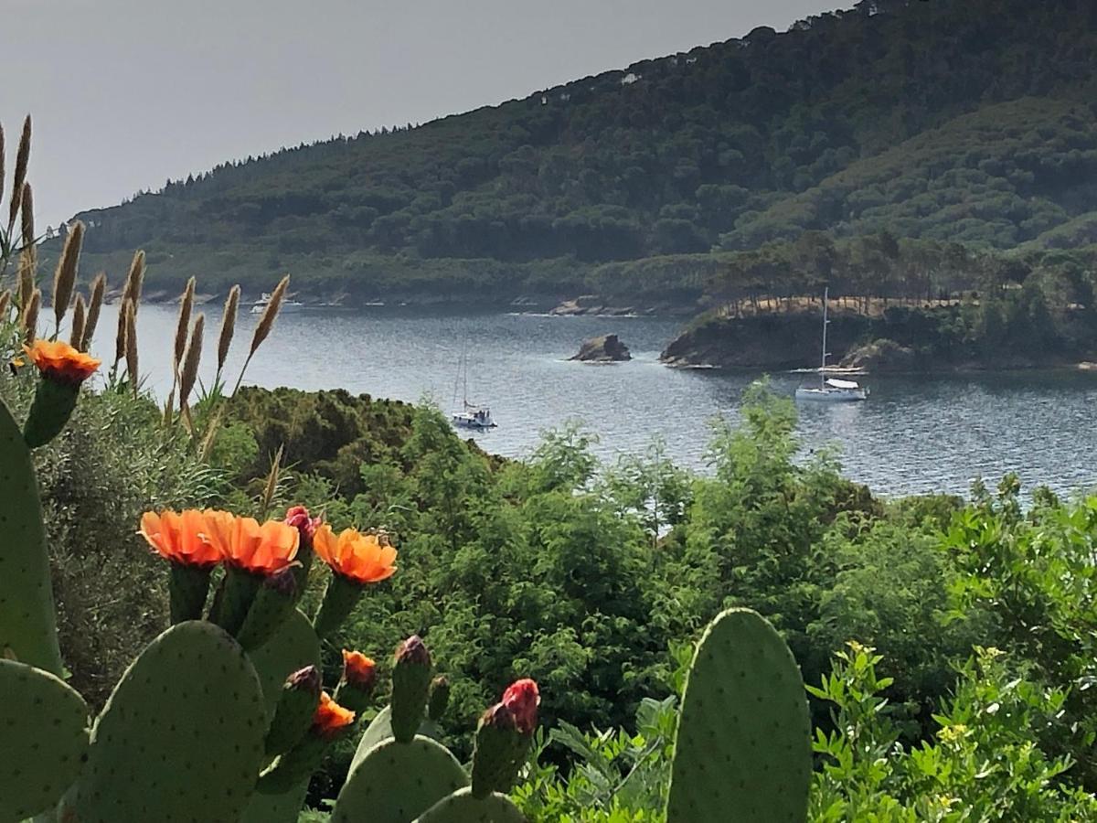 Case Dei Limoni Sul Mare Capoliveri (Isola d'Elba) Exterior foto