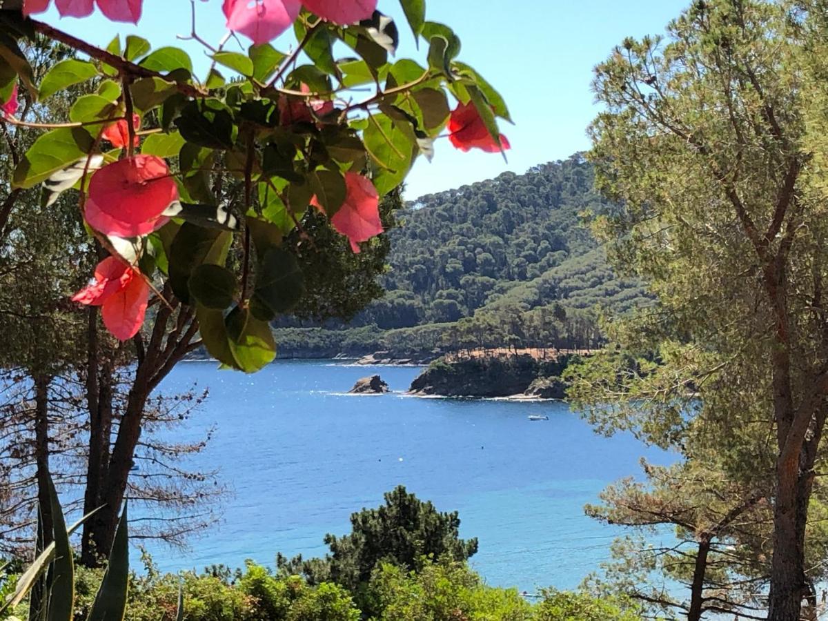 Case Dei Limoni Sul Mare Capoliveri (Isola d'Elba) Exterior foto