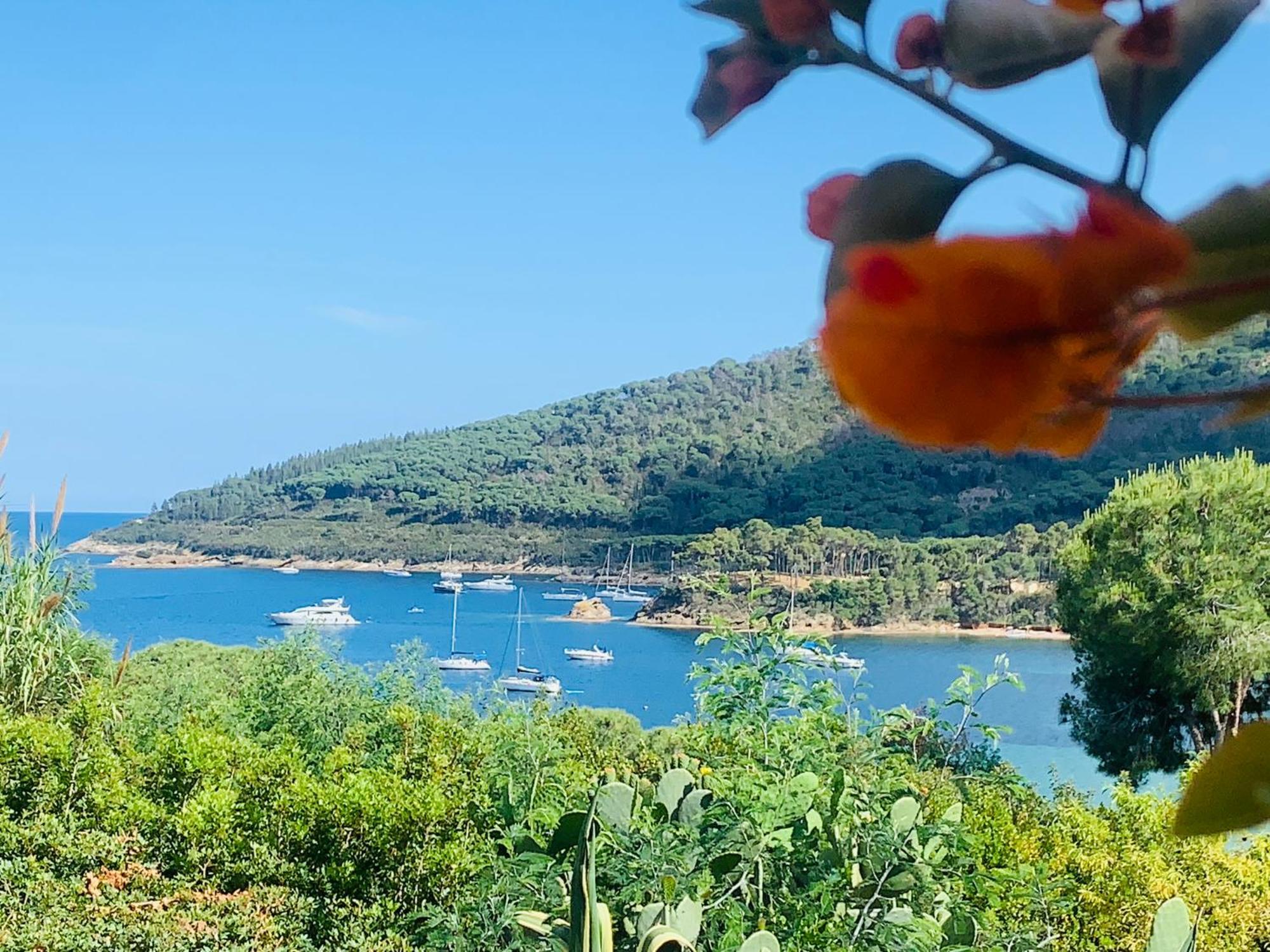 Case Dei Limoni Sul Mare Capoliveri (Isola d'Elba) Exterior foto
