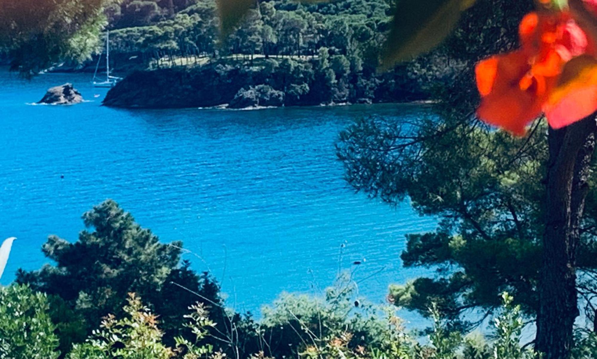 Case Dei Limoni Sul Mare Capoliveri (Isola d'Elba) Exterior foto